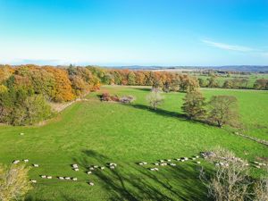 Photo 37- click for photo gallery